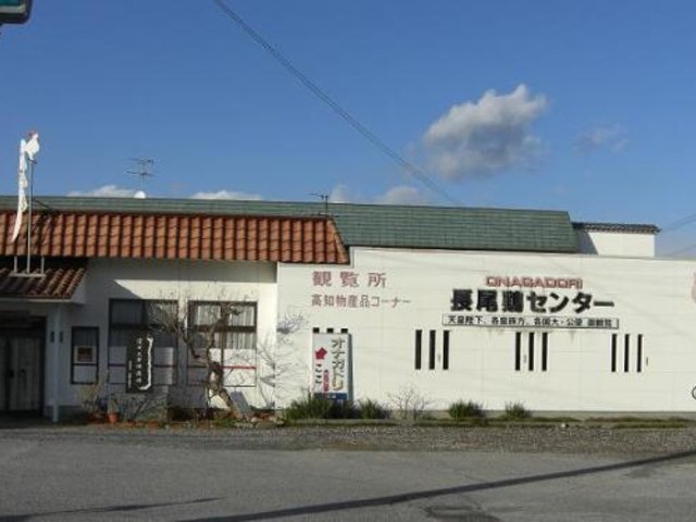 🐔 장미계 센터(나가오도리 센터) 이미지 1